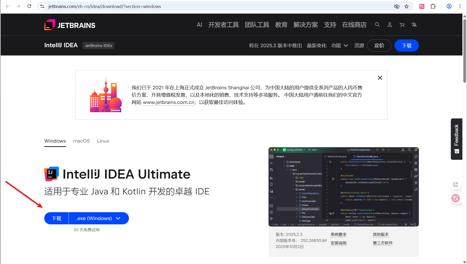 image-20251015205436663